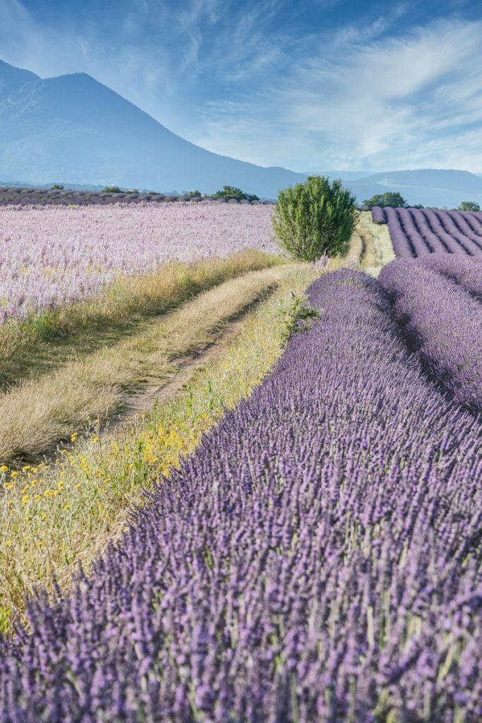 choisir une destination de week-end de noces en France : les 5 lieux les plus romantiques à visiter